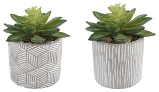 Shows the entire set of two cement pots on a solid white background with no overlays.
