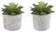 Set Of 2 Pattern Cement Pot