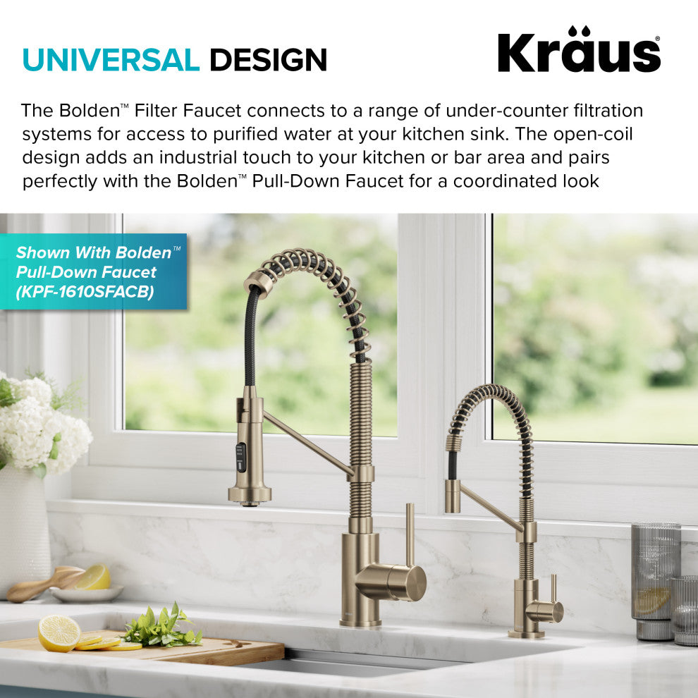Bolden 1-Handle Drinking Water Filter Faucet for Water Filtration System, SFACB
