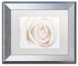 Cora Niele 'White Rose' Matted Framed Art