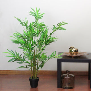 Product shown in a real indoor environment with the plant fully visible.