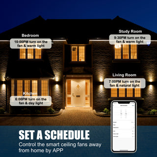 CARRO 52'' Smart DC Ceiling Fan with Remote Dimmable LED Light, Black/Gold