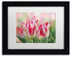 Cora Niele 'Rembrandt Silver Standard Tulip' Matted Framed Art