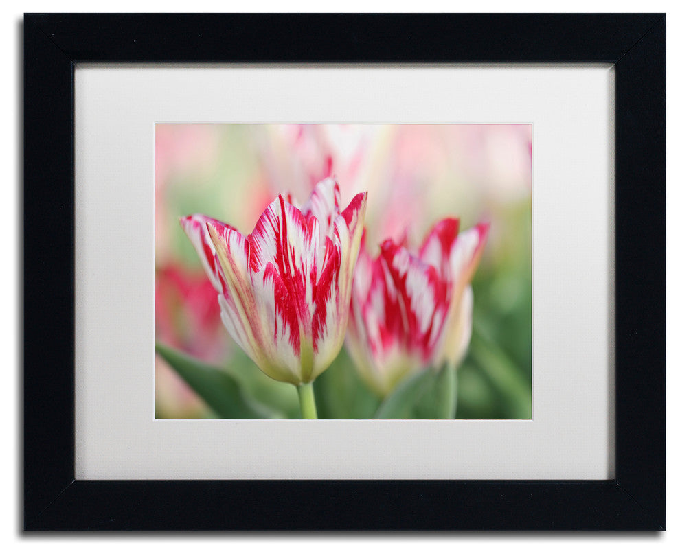 Cora Niele 'Rembrandt Silver Standard Tulip' Matted Framed Art