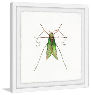 "Green Fly" Framed Painting Print, 32"x32"