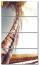 Huge Bent Coconut Tree To Beach, Landscape Wall Art on Canvas, 28"x48", 4 Panels