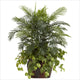 3 5' Double Areca With Vase and Pothos Silk Plant