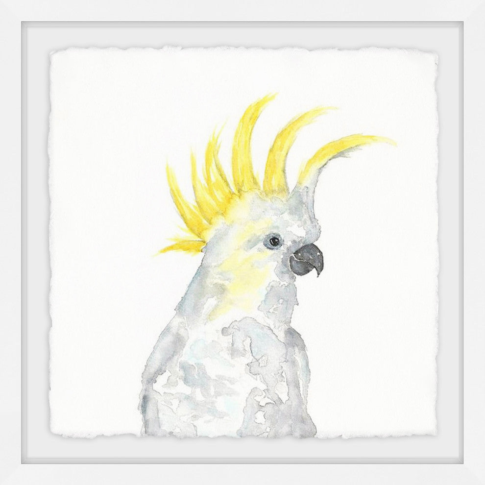 "Cockatoo II" Framed Painting Print, 12"x12"