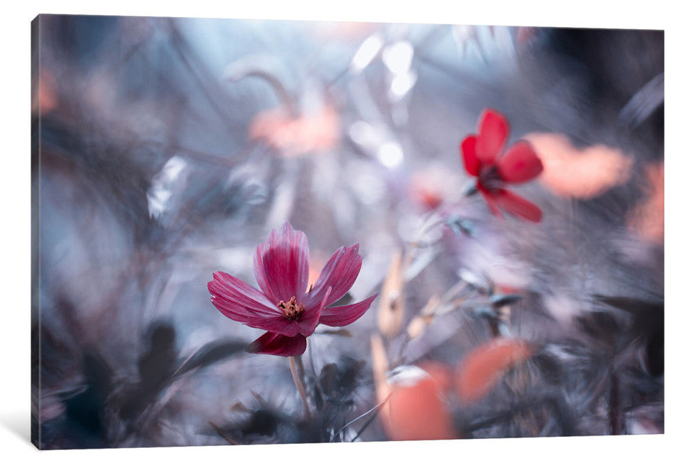 "Une Autre Fleur Une Autre Histoire" by Fabien Bravin, 18x12x1.5