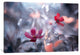 "Une Autre Fleur Une Autre Histoire" by Fabien Bravin, 18x12x1.5