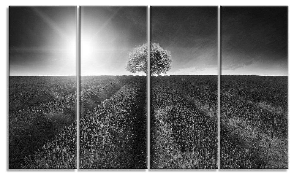 Beautiful Black White Lavender Field, Landscape Canvas Art, 48"x28", 4 Panels