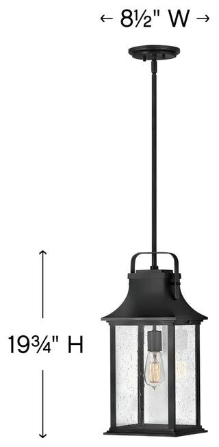 Grant 1-Light Outdoor Hanging, Textured Black