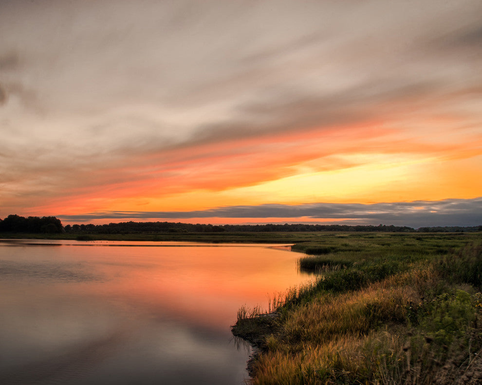 Farmhouse Style Wall Art: Sunset Woodland Marsh  Canvas, 16" X 20"