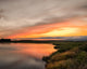 Farmhouse Style Wall Art: Sunset Woodland Marsh  Canvas, 16" X 20"
