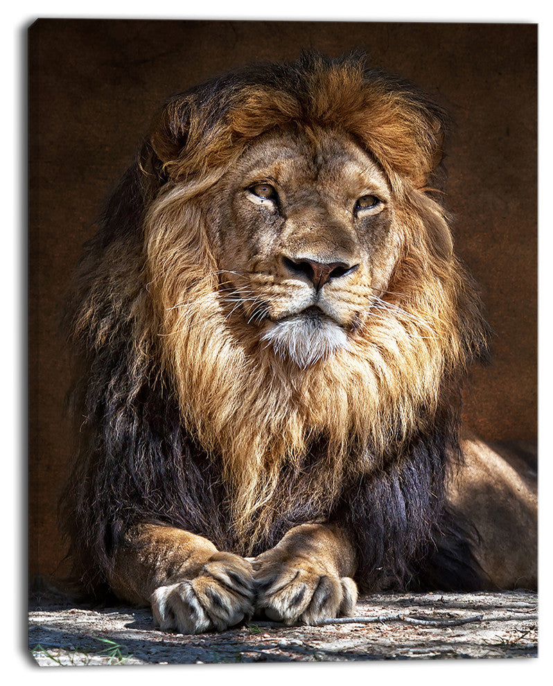 "King Lion With Lighted Face" Animal Art Print on Canvas, 30"x40"