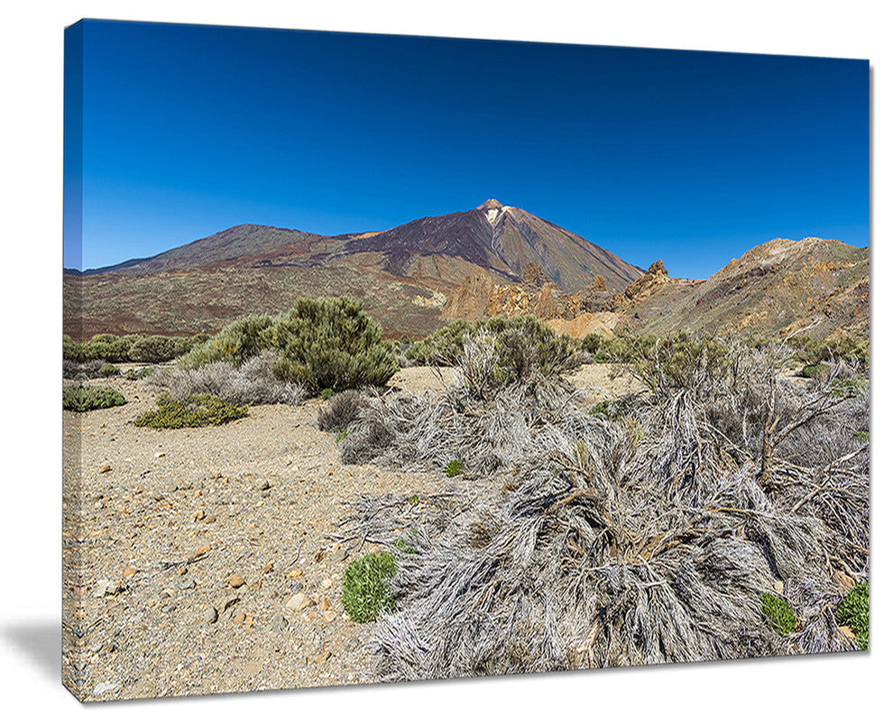 "Caldera of The Volcano Teide" Contemporary Landscape Wall Art, 20"x12"