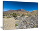 "Caldera of The Volcano Teide" Contemporary Landscape Wall Art, 20"x12"