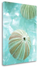 "Seaglass 4" By Alan Blaustein,Ready to Hang Giclee Print on Gallery Wrap Canvas