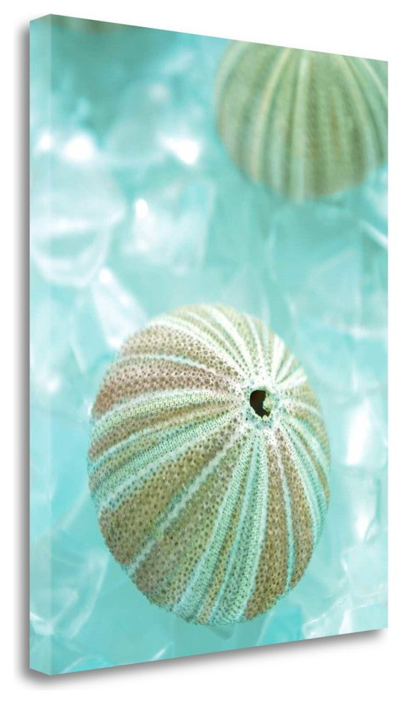 "Seaglass 4" By Alan Blaustein,Ready to Hang Giclee Print on Gallery Wrap Canvas
