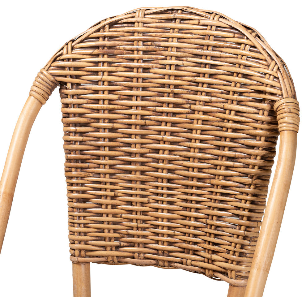 Neola Modern Bohemian Natural Rattan 2-Piece Dining Chair Set