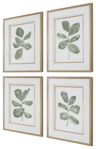 Uttermost Fiddle Head Leaf Botanical Prints Set of 4