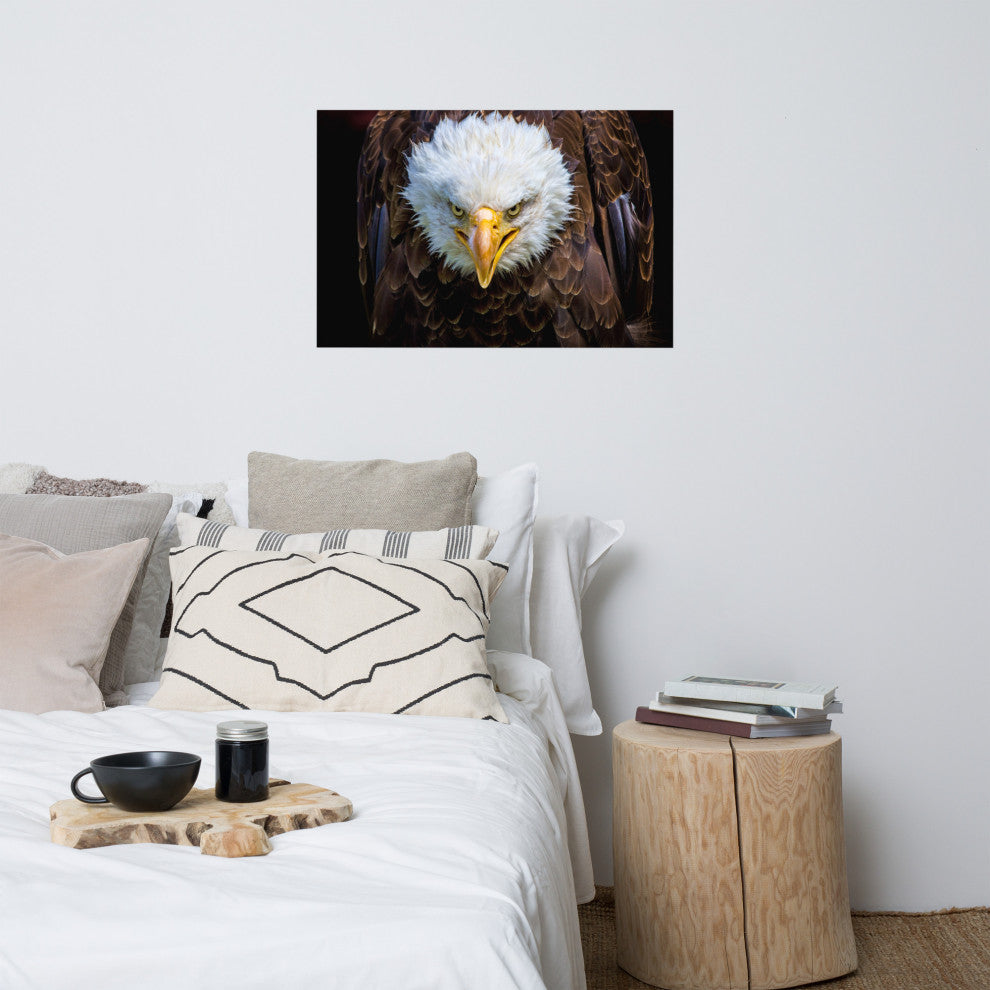 Bald Eagle Portrait Close-up Loose Wall Art Print, 24" X 36"