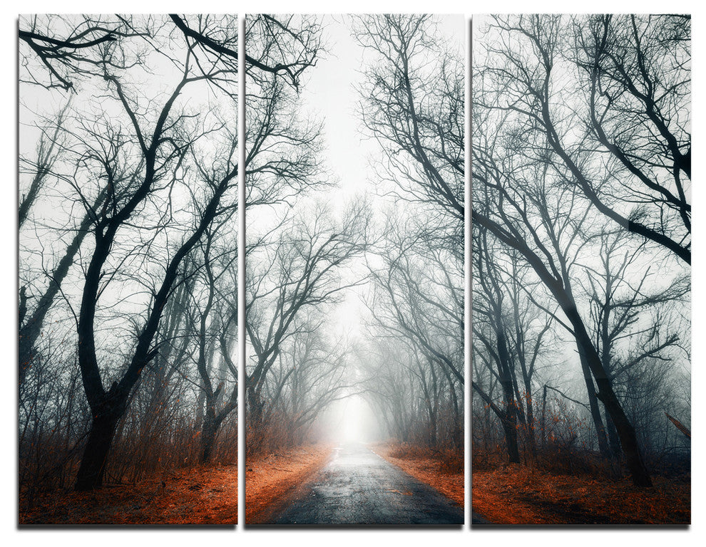 "Mystic Road in Forest" Photo Metal Wall Art, 3 Panels, 36"x28"