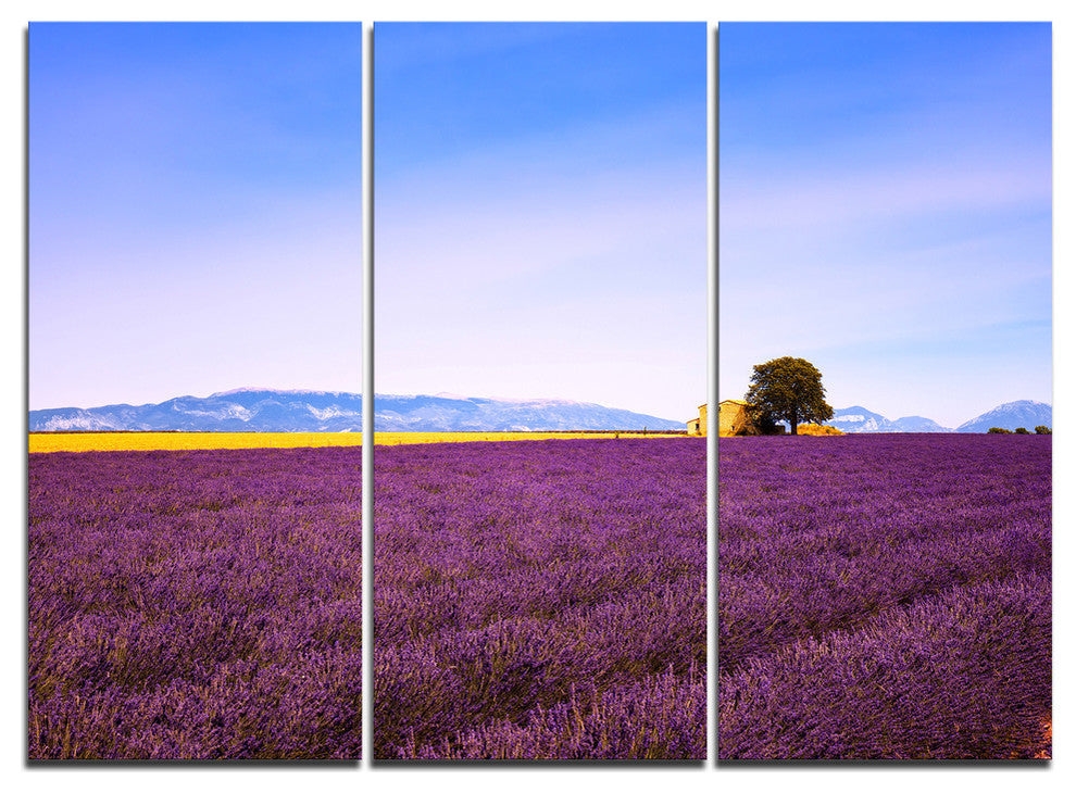 "Lavender Flowers With Old House" Metal Wall Art, 3 Panels, 36"x28"