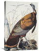 "Wild Turkey" Artwork, 20" x 30"