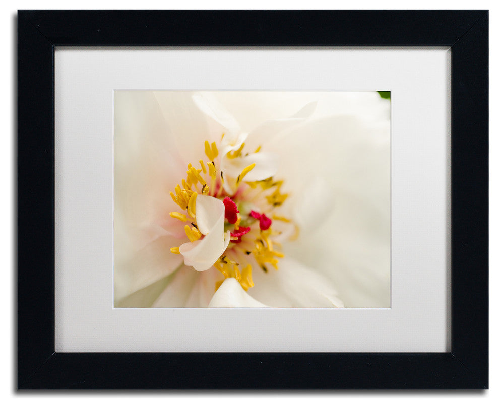 PIPA Fine Art 'Eye of Peony' Matted Framed Art, 14x11