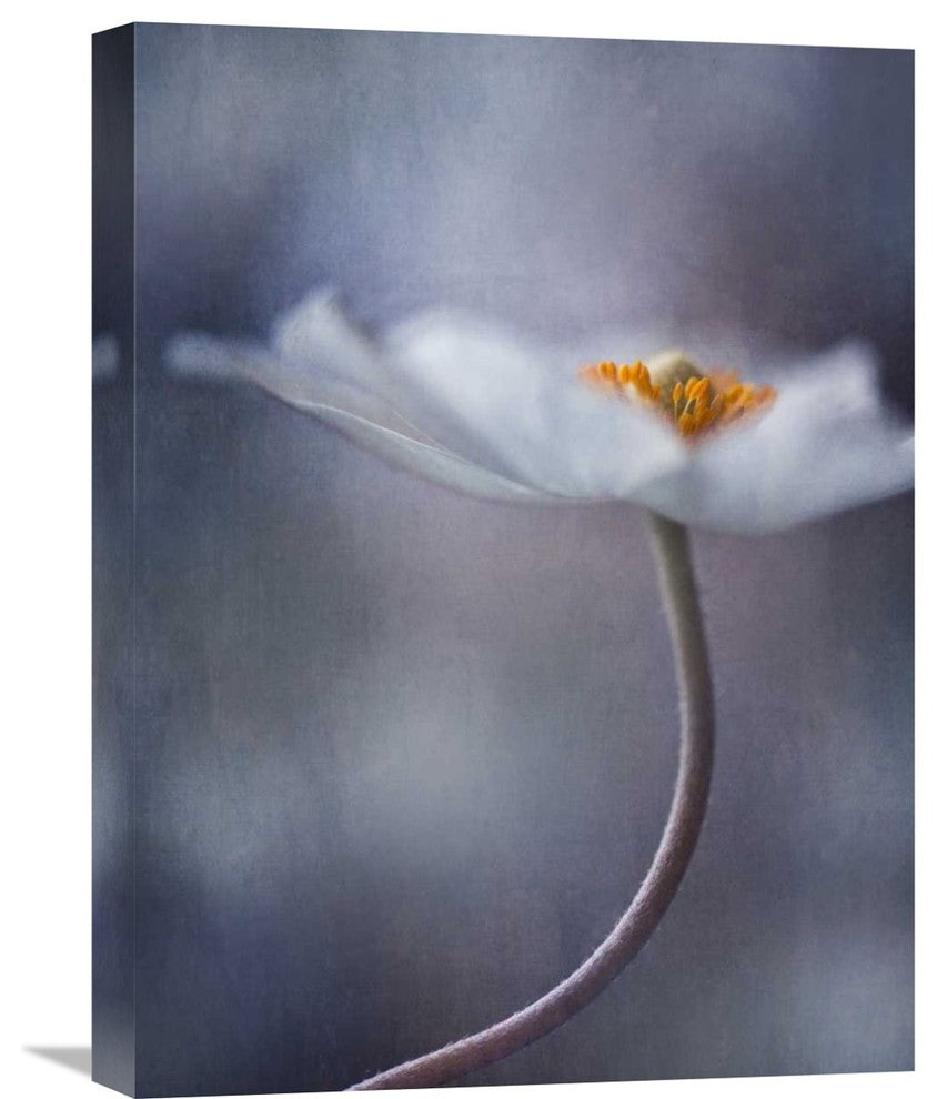 "The Beauty Within" Stretched Canvas Giclee by Priska Wettstein, 17"x22"