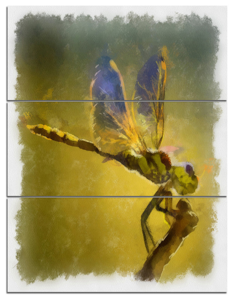 Dragon Fly Watercolor Illustration, Animal Canvas Artwork, 28x36, 3 Panels