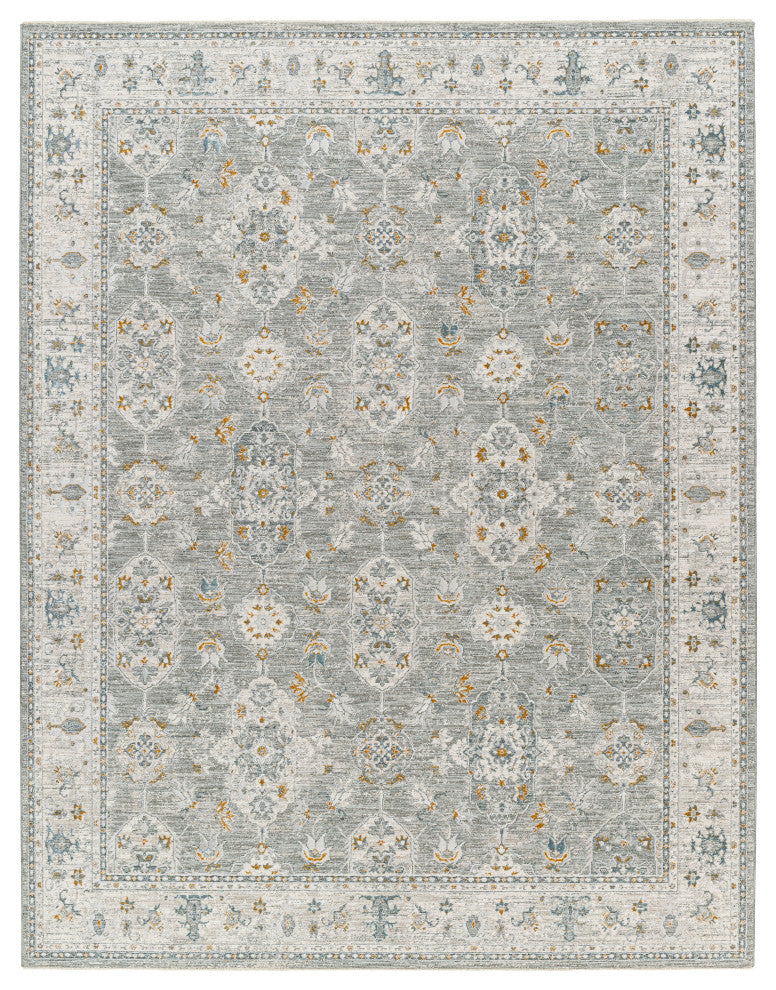 Surya Dresden DRE-2324 Machine Woven Area Rug, Gray, 2' x 2'11"