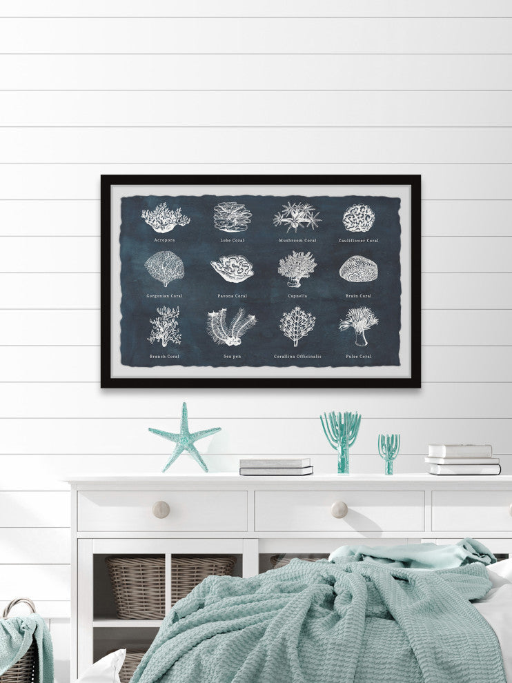 "Coral Identification" Framed Painting Print, 12x8