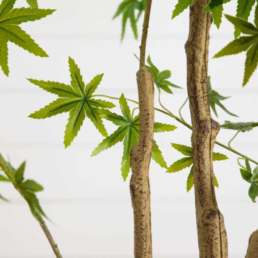 Cropped close-up showing leaves and trunk on white background.