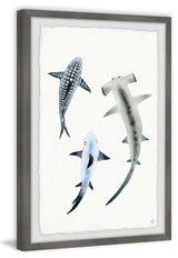"Shark Trio" Framed Painting Print, 20"x30"