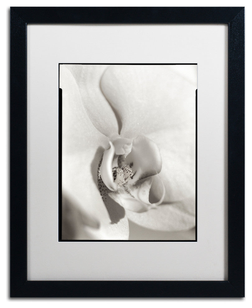 Alan Blaustein 'Florison 22' Art, Black Frame, White Mat, 16x20