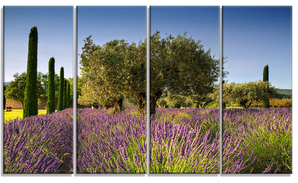 Beautiful Lavender and Olive Trees, Flower Canvas Wall Art, 48"x28", 4 Panels