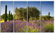 Beautiful Lavender and Olive Trees, Flower Canvas Wall Art, 48"x28", 4 Panels