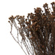 Natural Botanicals 19" x 4" Staavia, 100 grams per Unit , Natural, 19" x 4"