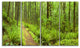 "Lush Forest Path Columbia River" Forest Wall Art Print, 4 Panels, 48"x28"