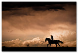 Dan Ballard 'Ride the Storm' Canvas Art, 32"x22"
