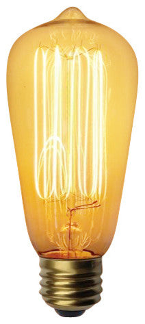 Dimmable Squirrel Cage 40 Watt Edison Bulb, E26 Base, Set of 3