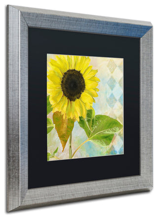 Color Bakery 'Soleil III' Matted Framed Art, Silver Frame, Black Mat, 16x16