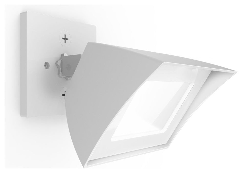 WAC Lighting Endurance LED Outdoor Flood Light, White, Cool White 5000k