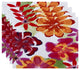 Ani, Floral Print Placemat, Red