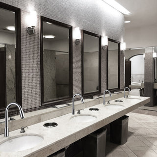 Rio Goose Neck Hands Free Faucets