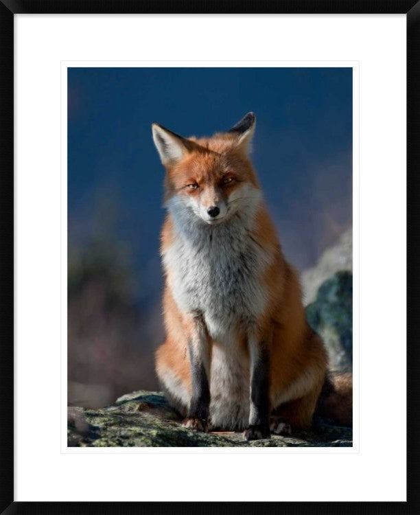"Are You My Friend Or Not?" Framed Digital Print by Peter Svoboda, 24"x30"
