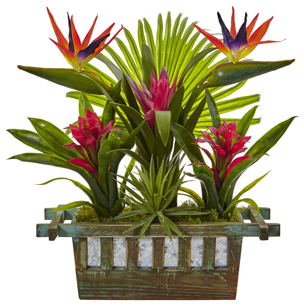 Birds of Paradise and Bromeliad, Planter