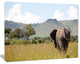Retreating Elephant in Savannah, Extra Large African Canvas Art Print, 40"x30"